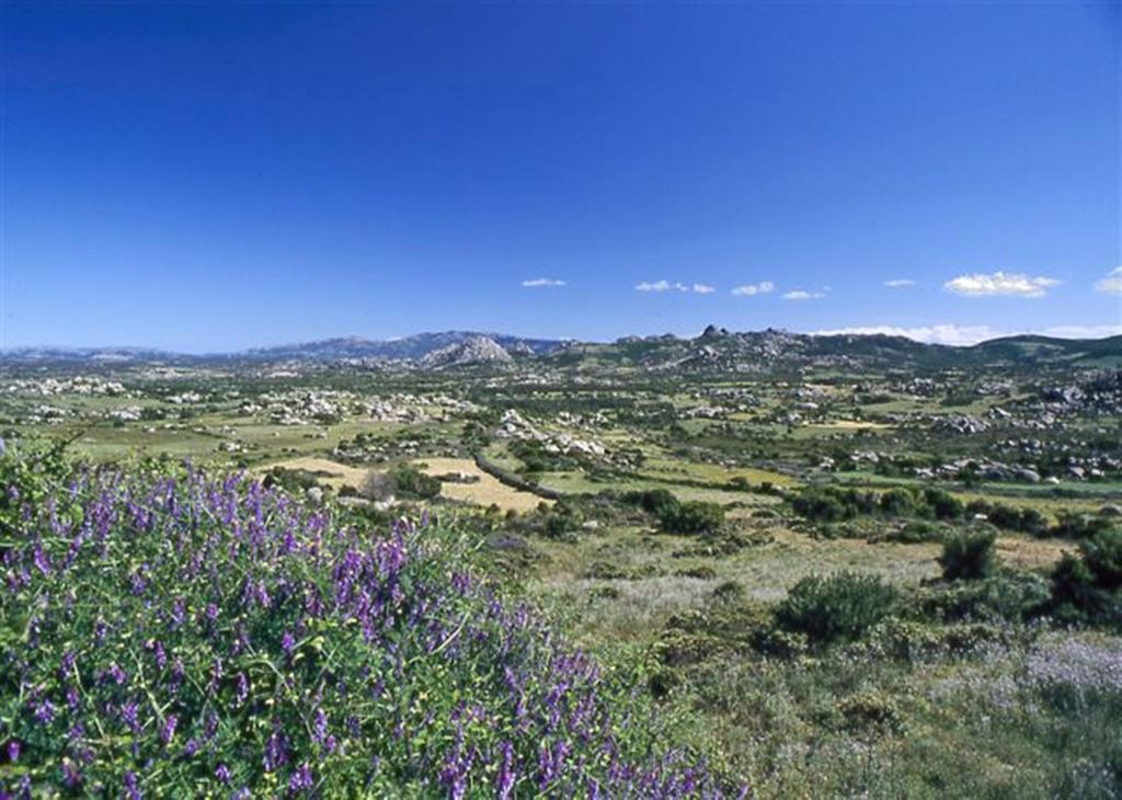 La Vignaredda - Residenza Di Charme Hotel Aggius Екстериор снимка