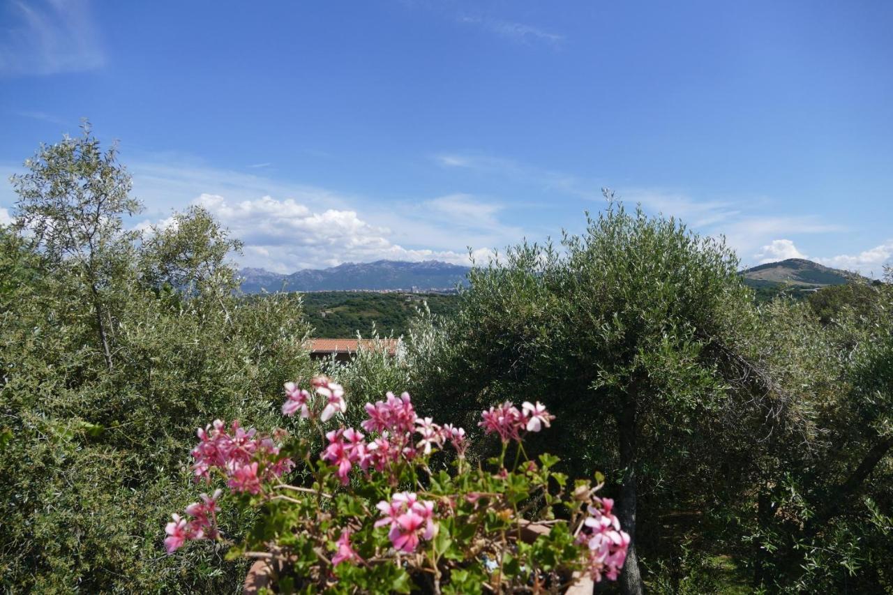 La Vignaredda - Residenza Di Charme Hotel Aggius Екстериор снимка